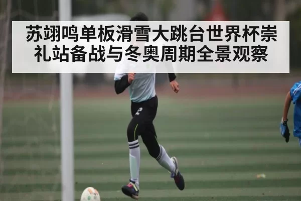 苏翊鸣单板滑雪大跳台世界杯崇礼站备战与冬奥周期全景观察